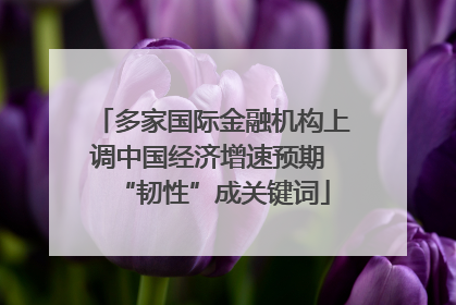 多家国际金融机构上调中国经济增速预期 “韧性”成关键词
