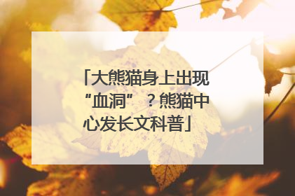 大熊猫身上出现“血洞”？熊猫中心发长文科普