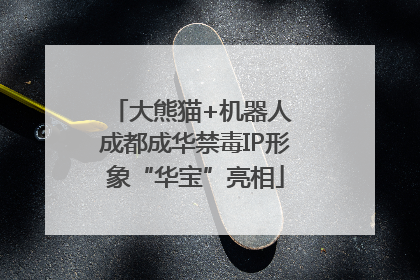 大熊猫+机器人 成都成华禁毒IP形象“华宝”亮相
