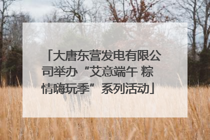 大唐东营发电有限公司举办“艾意端午 粽情嗨玩季”系列活动