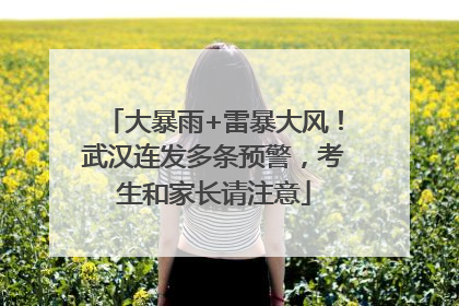 大暴雨+雷暴大风！武汉连发多条预警，考生和家长请注意