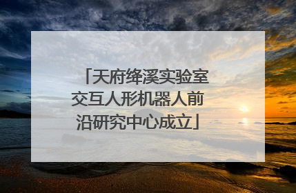 天府绛溪实验室交互人形机器人前沿研究中心成立