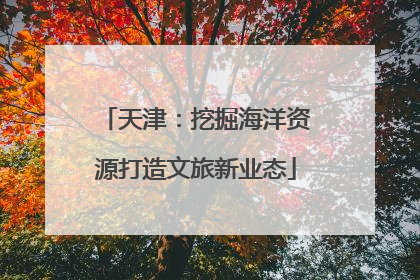 天津：挖掘海洋资源打造文旅新业态