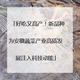 好吃又高产！新品种为安徽蔬菜产业高质发展注入科技动能