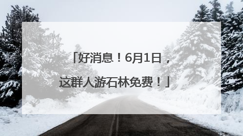 好消息！6月1日，这群人游石林免费！