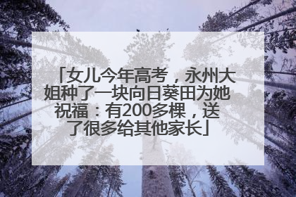 女儿今年高考，永州大姐种了一块向日葵田为她祝福：有200多棵，送了很多给其他家长