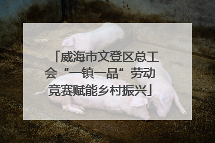 威海市文登区总工会“一镇一品”劳动竞赛赋能乡村振兴