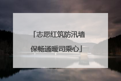 志愿红筑防汛墙 保畅通暖司乘心