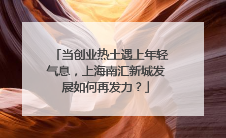 当创业热土遇上年轻气息，上海南汇新城发展如何再发力？
