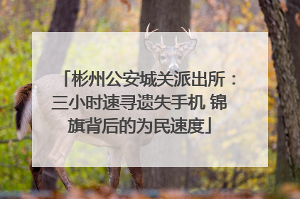 彬州公安城关派出所：三小时速寻遗失手机 锦旗背后的为民速度