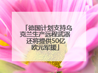 德国计划支持乌克兰生产远程武器 还将提供50亿欧元军援
