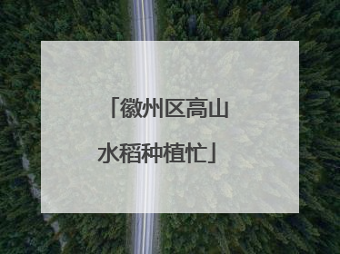 徽州区高山水稻种植忙