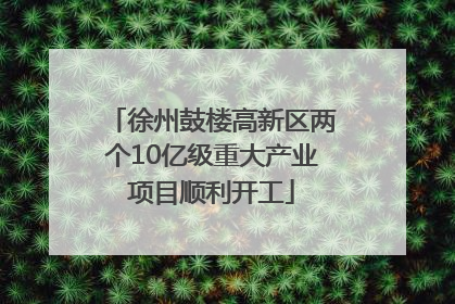 徐州鼓楼高新区两个10亿级重大产业项目顺利开工