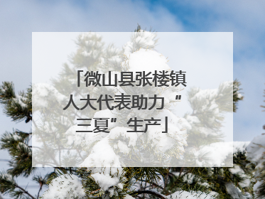 微山县张楼镇人大代表助力“三夏”生产