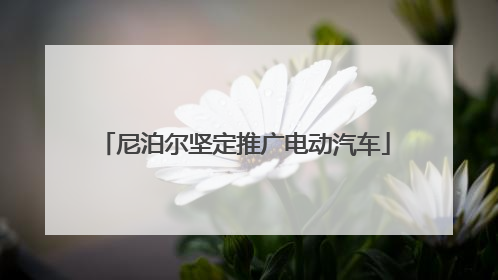 尼泊尔坚定推广电动汽车