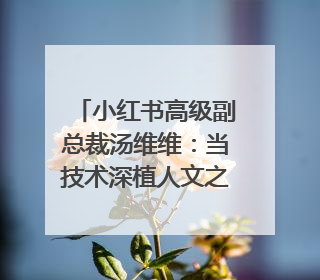 小红书高级副总裁汤维维：当技术深植人文之心，边界终将化为桥梁｜聚焦2025文化强国建设高峰论坛