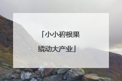 小小碧根果撬动大产业