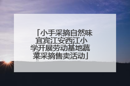 小手采摘自然味 宜宾江安西江小学开展劳动基地蔬菜采摘售卖活动