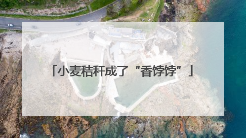 小麦秸秆成了“香饽饽”