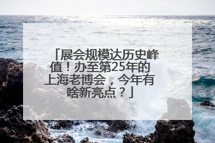 展会规模达历史峰值！办至第25年的上海老博会，今年有啥新亮点？