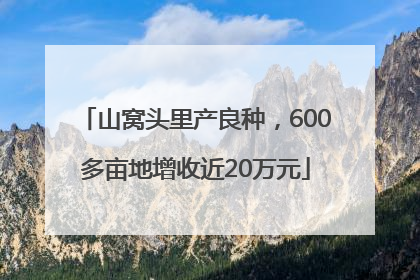 山窝头里产良种，600多亩地增收近20万元