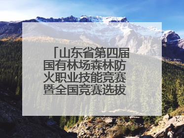 山东省第四届国有林场森林防火职业技能竞赛暨全国竞赛选拔赛鸣锣开赛
