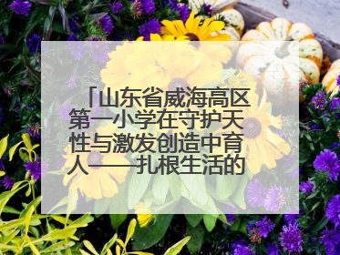 山东省威海高区第一小学在守护天性与激发创造中育人——扎根生活的科学教育更有效