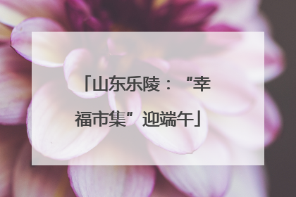 山东乐陵：“幸福市集”迎端午