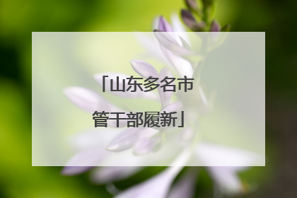 山东多名市管干部履新