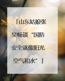 山东姑娘张昊畅谈“国防安全就像阳光空气和水”