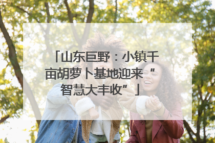 山东巨野：小镇千亩胡萝卜基地迎来“智慧大丰收”