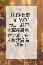 山东日照“面条鱼”上线，赶海大军凌晨点亮沙滩，有人收获满满一桶鱼