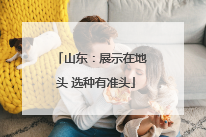 山东：展示在地头 选种有准头