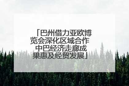巴州借力亚欧博览会深化区域合作 中巴经济走廊成果惠及经贸发展
