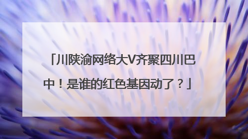 川陕渝网络大V齐聚四川巴中！是谁的红色基因动了？