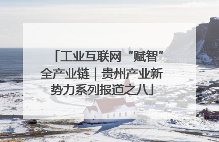 工业互联网“赋智”全产业链｜贵州产业新势力系列报道之八
