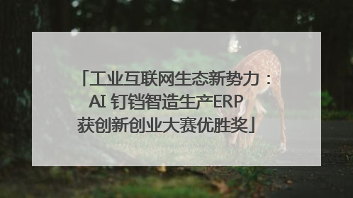 工业互联网生态新势力：AI 钉铛智造生产ERP获创新创业大赛优胜奖