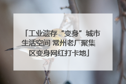 工业遗存“变身”城市生活空间 常州老厂聚集区变身网红打卡地