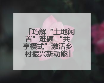 巧解“土地闲置”难题 “共享模式”激活乡村振兴新动能