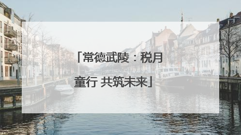 常德武陵：税月童行 共筑未来