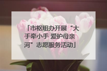 市枢纽办开展“大手牵小手 爱护母亲河”志愿服务活动