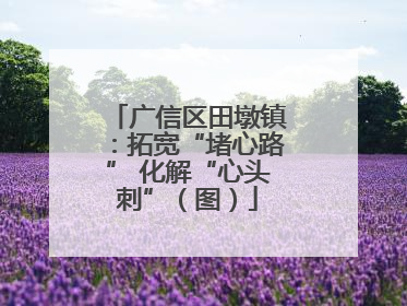 广信区田墩镇：拓宽“堵心路” 化解“心头刺”（图）