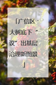 广信区：大树底下“议”出基层治理新图景