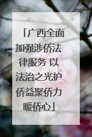 广西全面加强涉侨法律服务 以法治之光护侨益聚侨力暖侨心