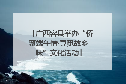 广西容县举办“侨聚端午情·寻觅故乡味”文化活动