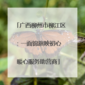 广西柳州市柳江区：一面锦旗映初心 暖心服务助营商