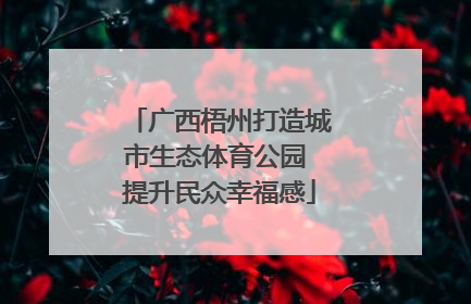 广西梧州打造城市生态体育公园 提升民众幸福感