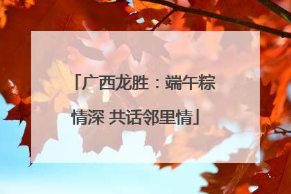 广西龙胜：端午粽情深 共话邻里情