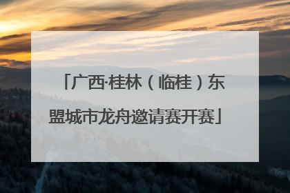 广西·桂林（临桂）东盟城市龙舟邀请赛开赛