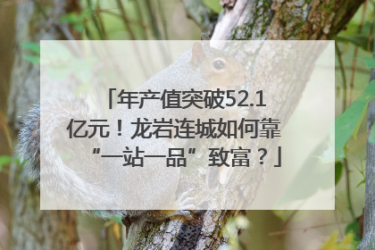 年产值突破52.1亿元！龙岩连城如何靠“一站一品”致富？